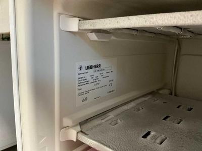 Paneel 4